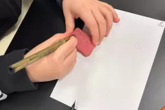 tempImageHwruKz