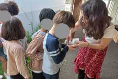 4e9c352a-6f5b-449a-b07d-bafe661b8703